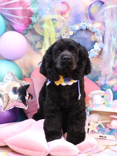 20240815天ちゃん